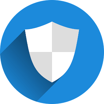 Privacy of Remote Speech Services